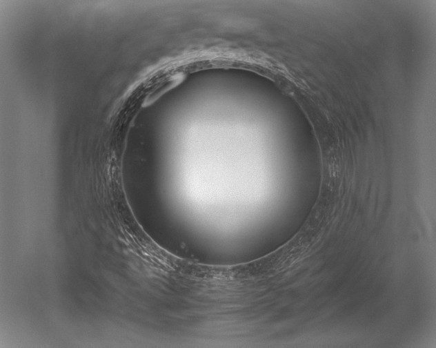 X0000052561495200507081622