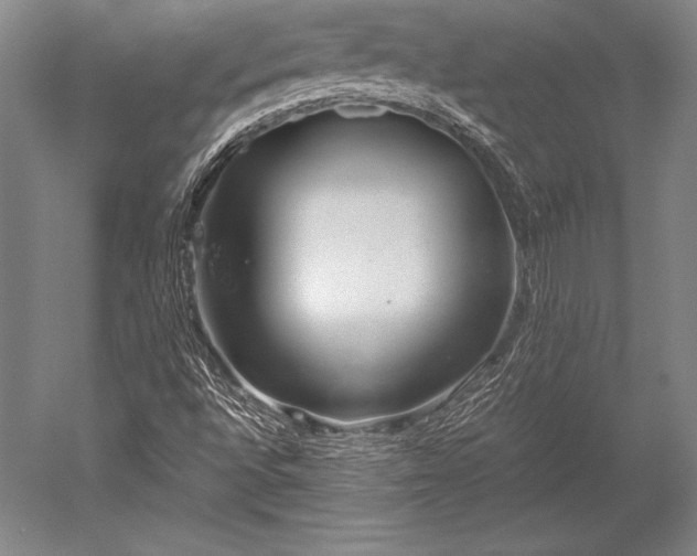 X0000052561496200507081622