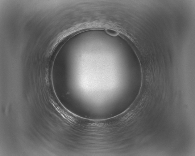 X0000052561499200507081622