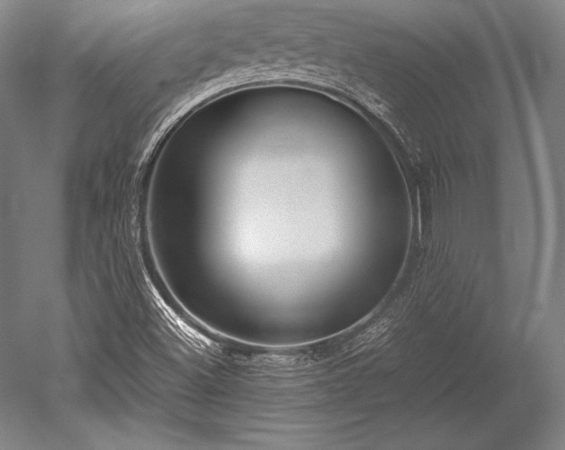 X0000052561500200507081622