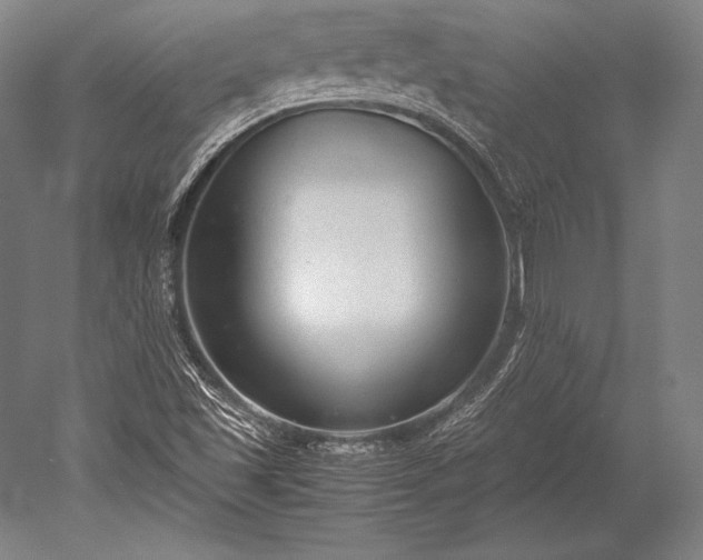 X0000052561501200507081622