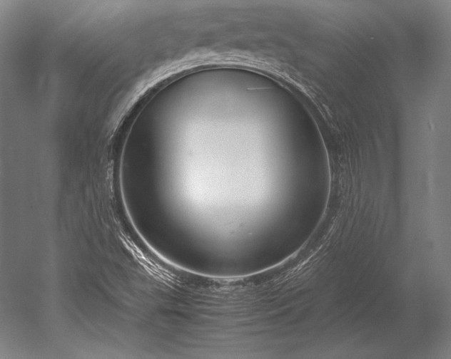 X0000052561503200507081622