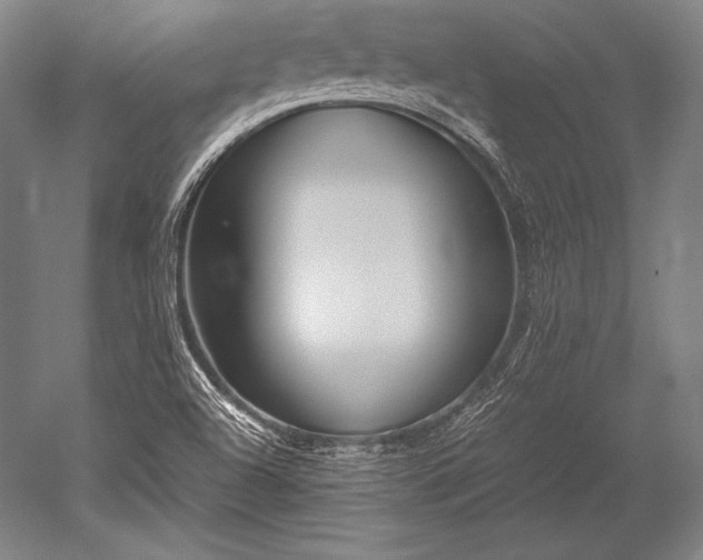 X0000052561504200507081622