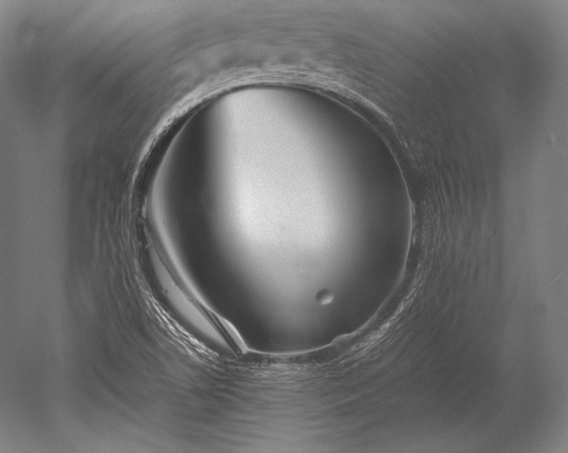 X0000052561506200507081622