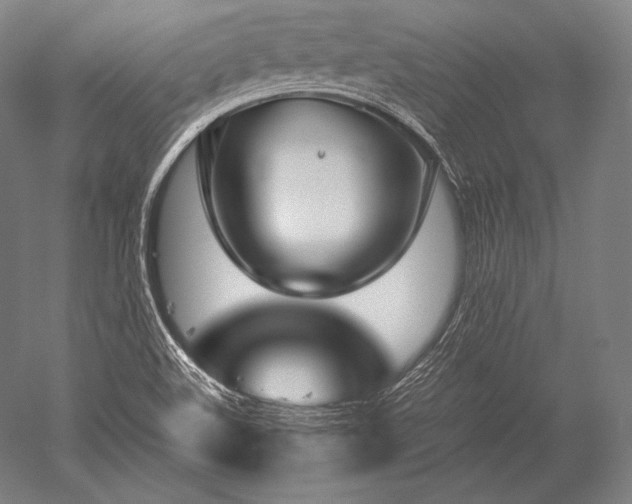 X0000052561508200507081622