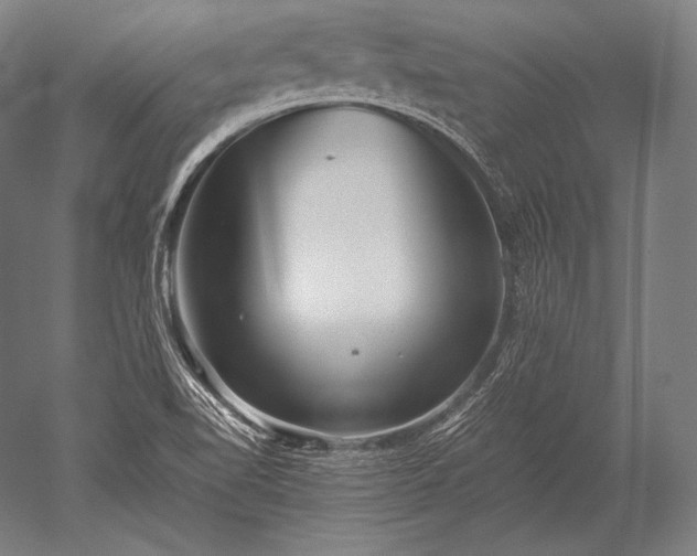 X0000052561510200507081622