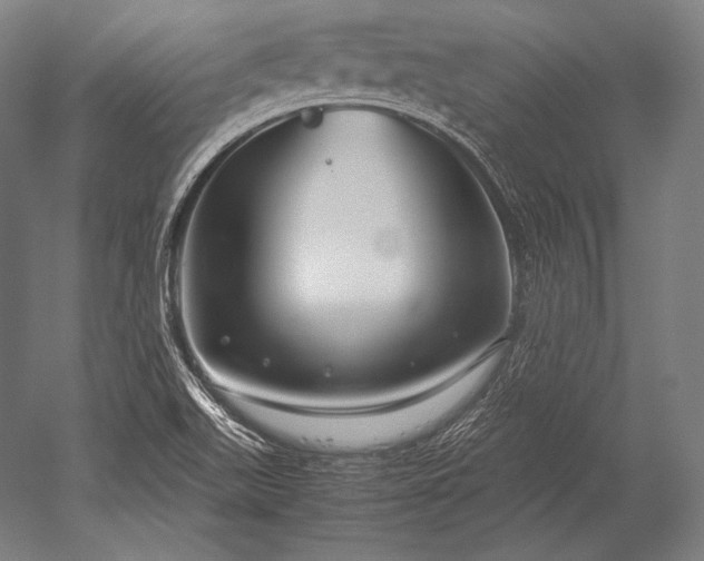 X0000052561511200507081622