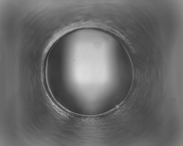X0000052561512200507081622