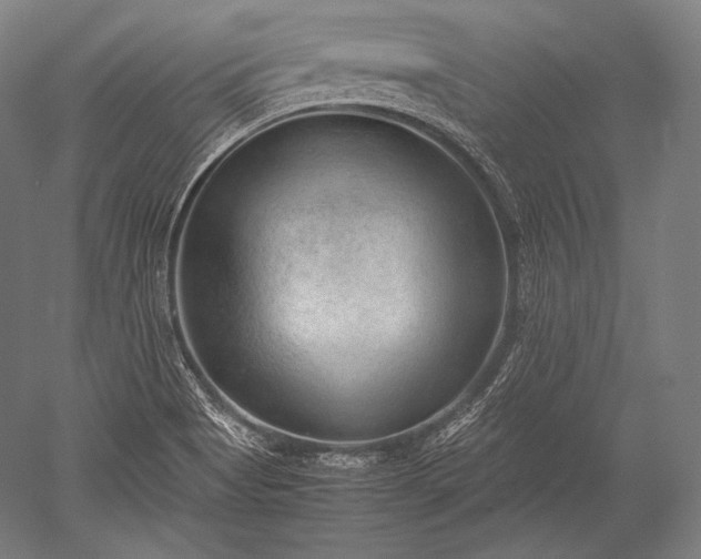 X0000052561513200507081622