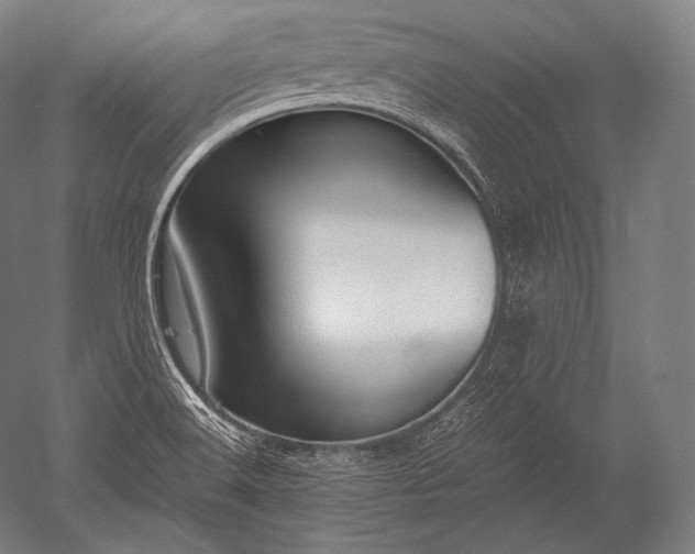 X0000052561516200507081622