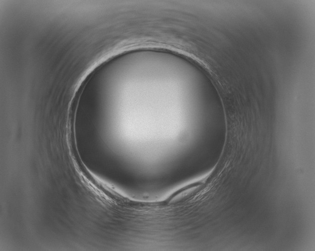 X0000052561518200507081622
