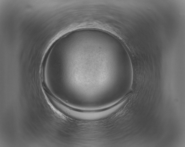 X0000052561519200507081622