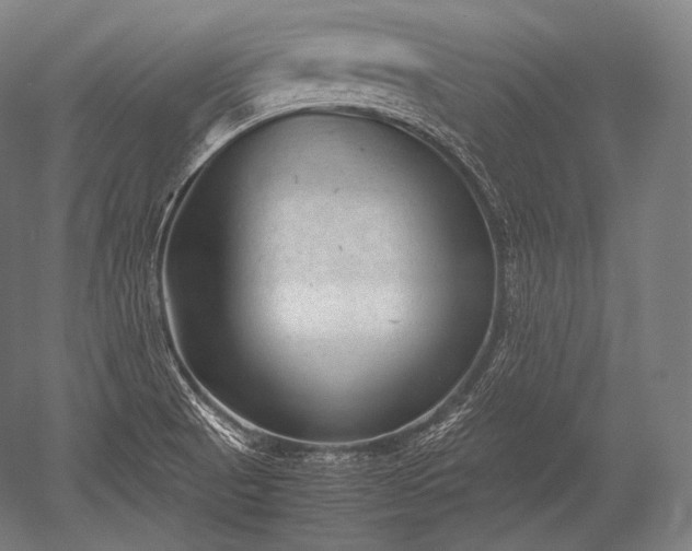 X0000052561521200507081622