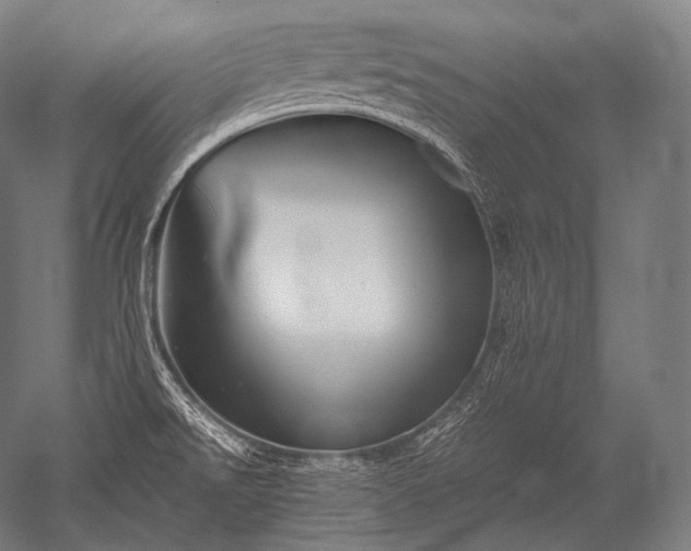 X0000052561526200507081622