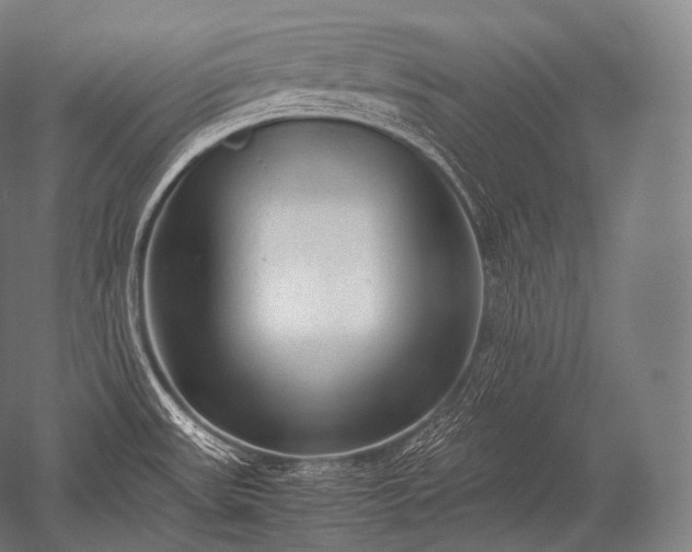 X0000052561531200507081622