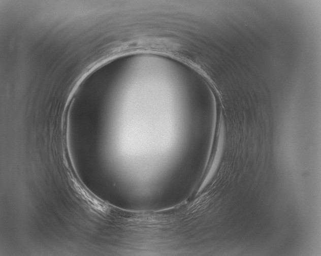 X0000052561532200507081622