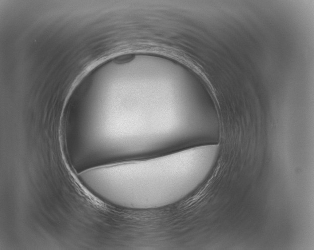 X0000052561533200507081622