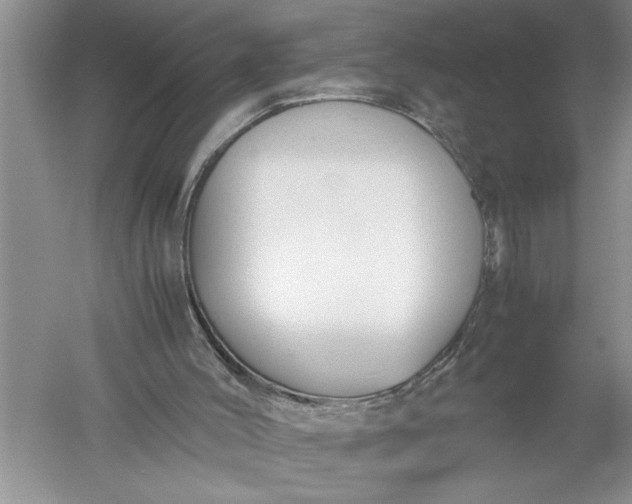 X0000052560004200507152238