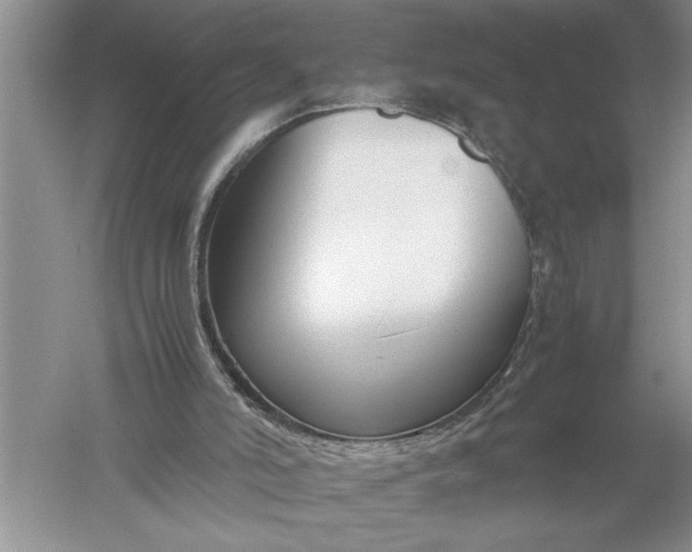 X0000052560006200507152238