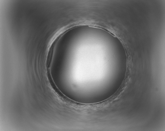 X0000052560007200507152238