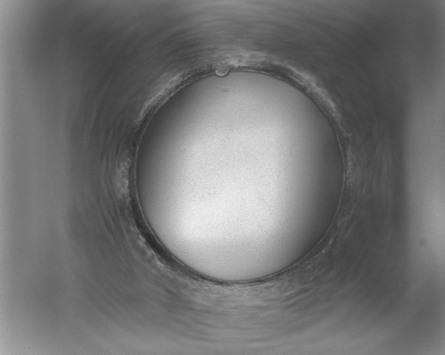 X0000052560010200507152238