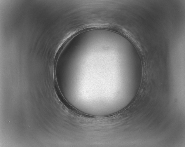 X0000052560011200507152238