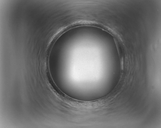 X0000052560015200507152238