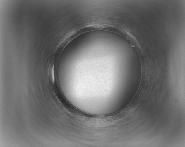 X0000052560020200507152238
