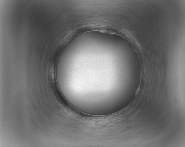 X0000052560021200507152238