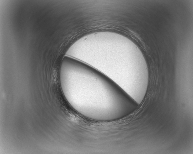 X0000052560025200507152238