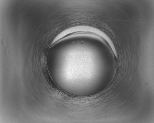 X0000052560029200507152238