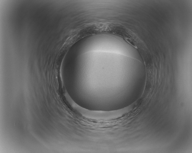 X0000052560035200507152237