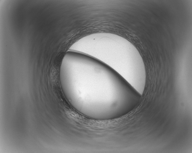 X0000052560037200507152237