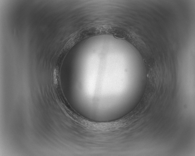 X0000052560038200507152237