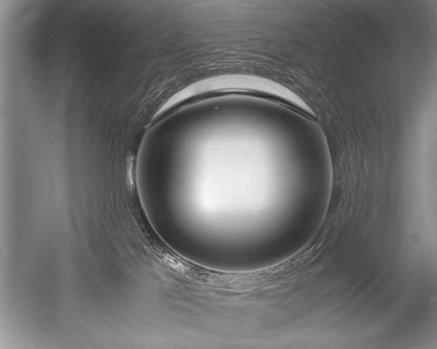 X0000052560041200507152237