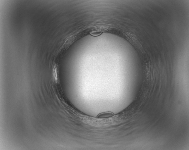 X0000052560042200507152237