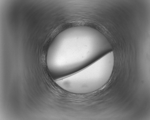 X0000052560045200507152237