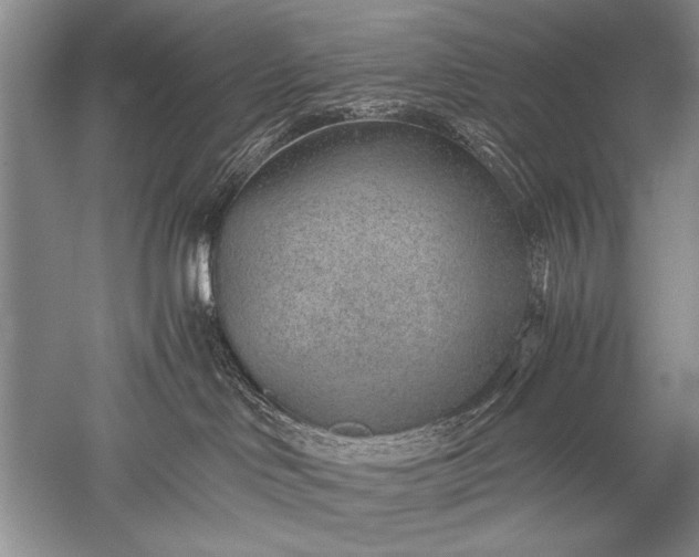 X0000052560046200507152237