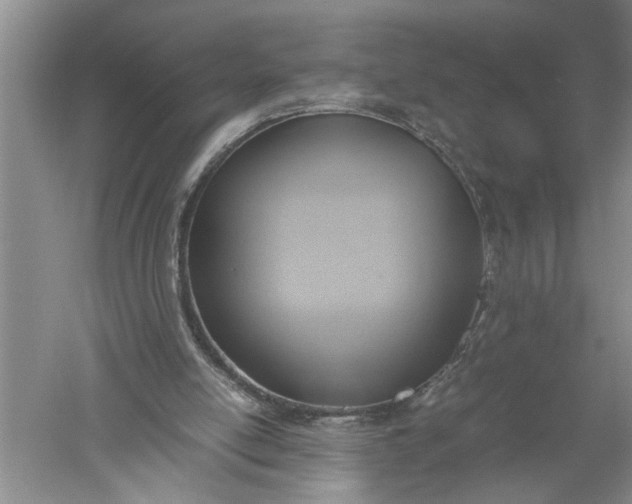 X0000052560054200507152237