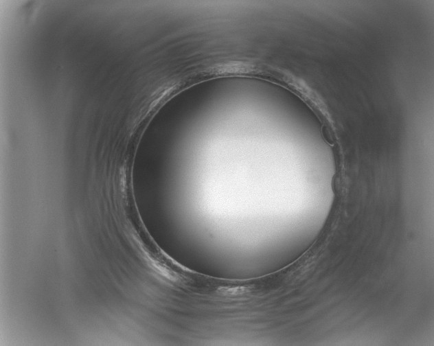 X0000052560057200507152237