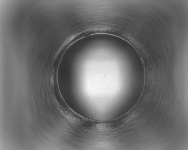 X0000052560064200507152237