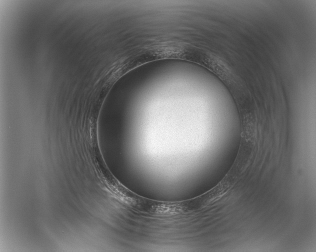 X0000052560077200507152237