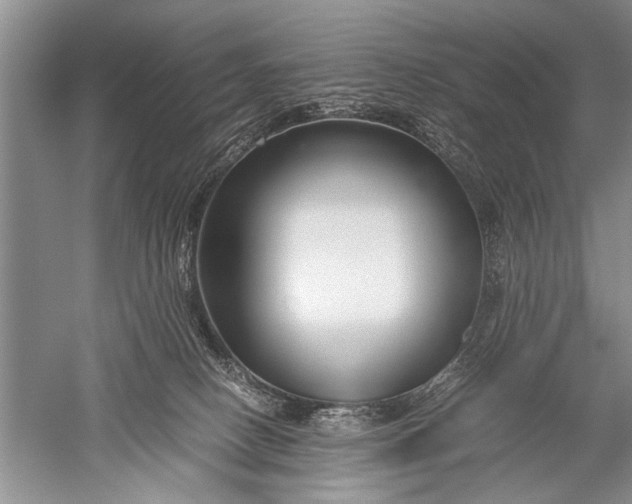 X0000052560082200507152237