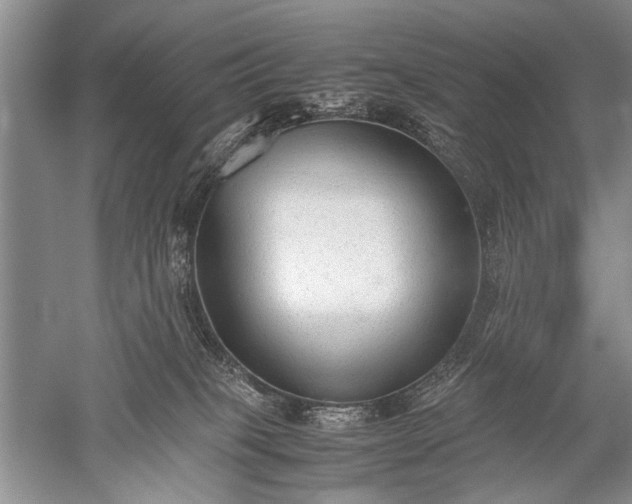 X0000052560085200507152237