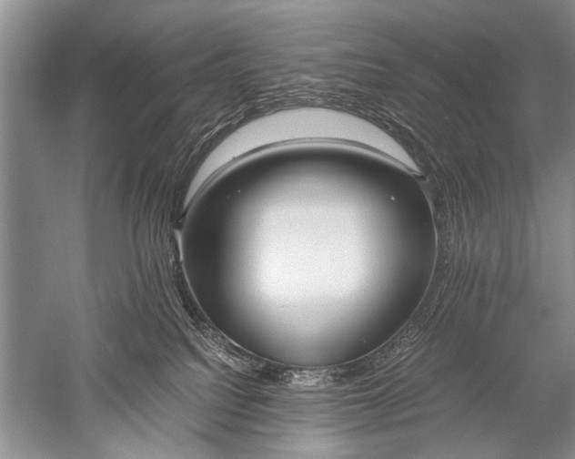 X0000052560088200507152237