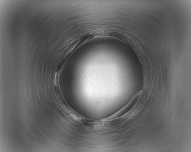 X0000052560096200507152237