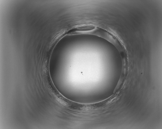 X0000052560105200507152236