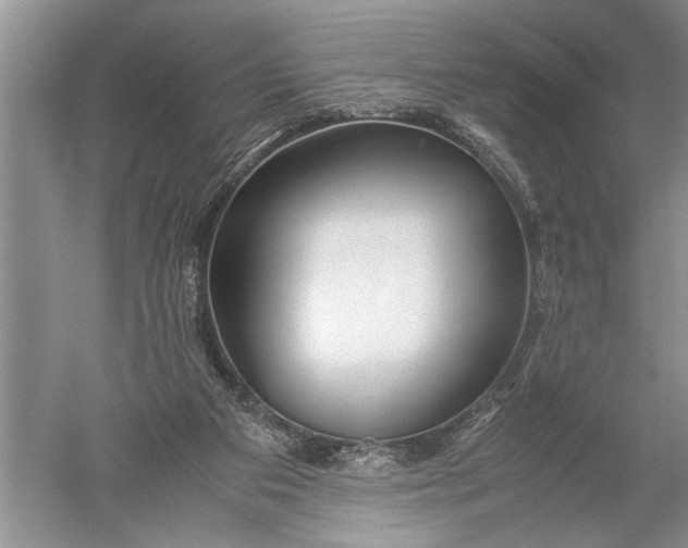 X0000052560113200507152236