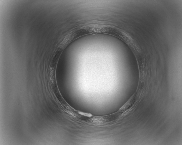 X0000052560121200507152236