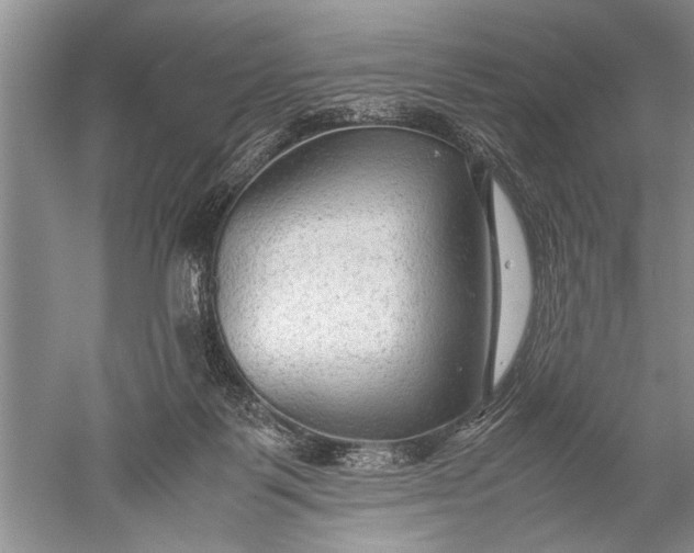 X0000052560123200507152236